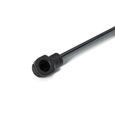 Bonnet  Gas Spring RIDEX 514G0019 514G0019 - photo 6
