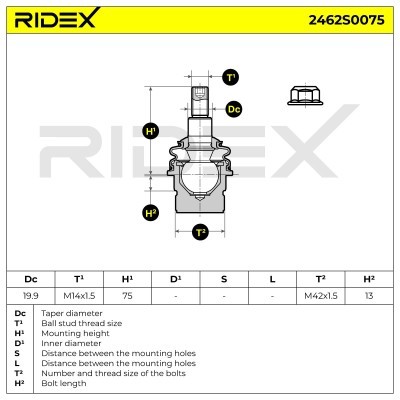 Ball Joint RIDEX 2462S0075 2462S0075 - photo 5