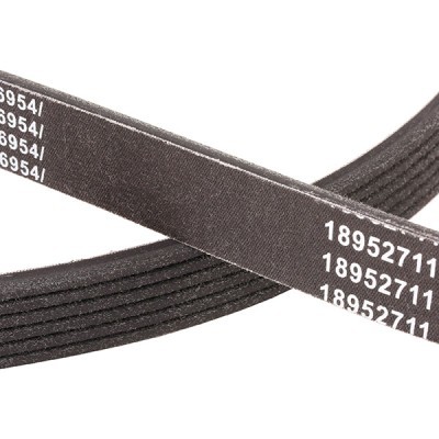 V-Ribbed Belt RIDEX 305P0250P 305P0250P - photo 5