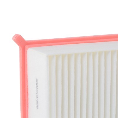 Air Filter RIDEX 8A0258 8A0258 - photo 5