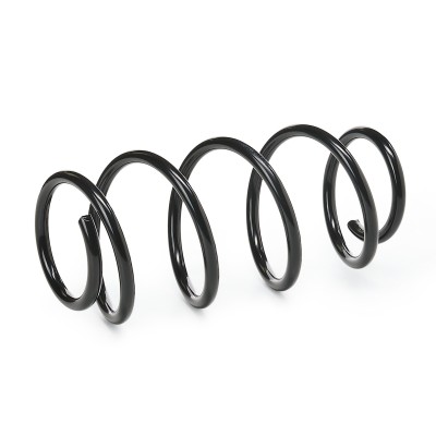 Suspension Spring RIDEX 188C0033 188C0033 - photo 4