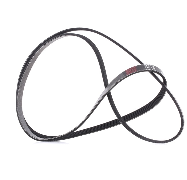 V-Ribbed Belt RIDEX 305P0160P 305P0160P - photo 1