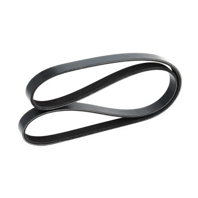 V-Ribbed Belt RIDEX 305P0249 305P0249 - photo 4