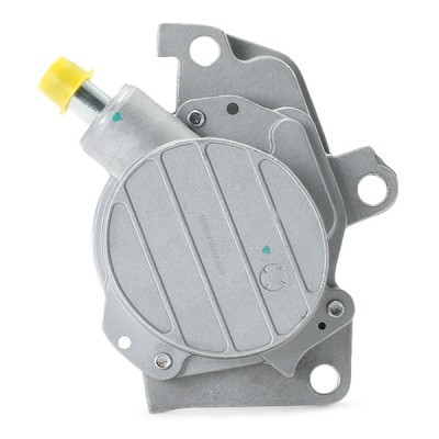 Vacuum Pump RIDEX 387V0016 387V0016 - photo 9