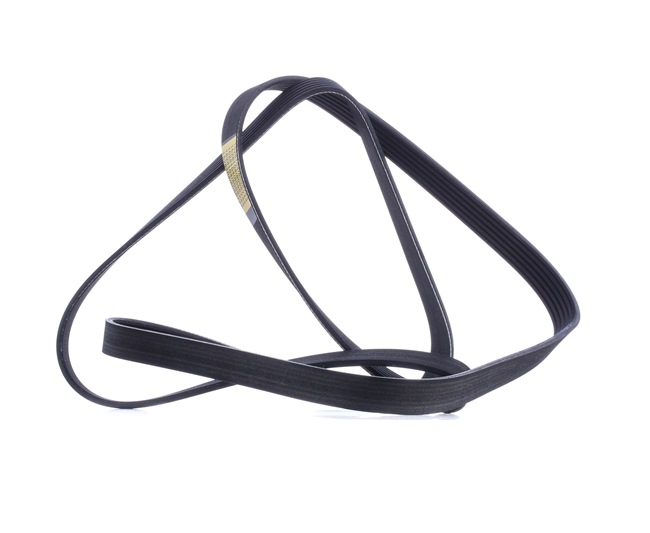 V-Ribbed Belt RIDEX 305P0343 305P0343 - photo 1