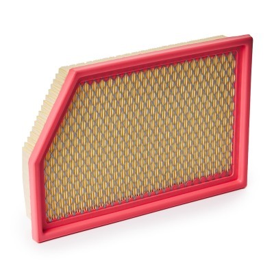 Air Filter RIDEX 8A1118 8A1118 - photo 4