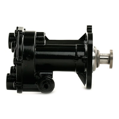 Vacuum Pump RIDEX 387V0025 387V0025 - photo 5