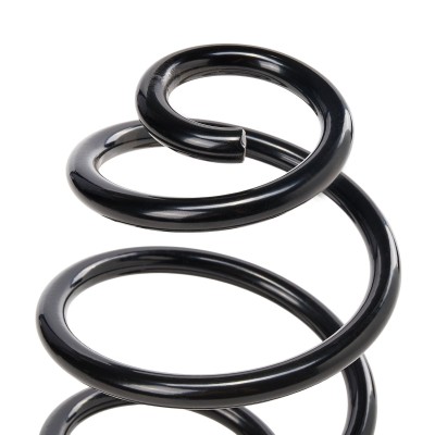 Suspension Spring RIDEX 188C0782 188C0782 - photo 8