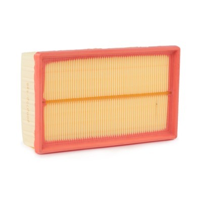 Air Filter RIDEX 8A0092 8A0092 - photo 3
