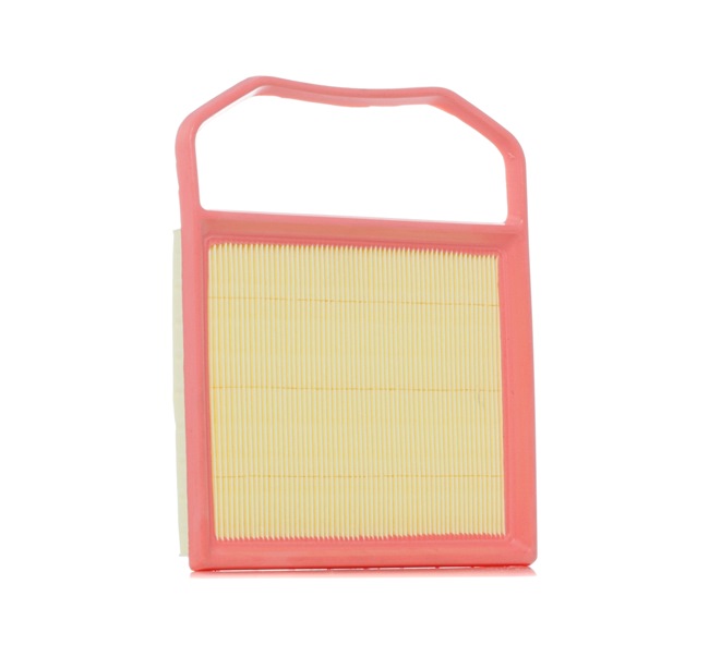 Air Filter RIDEX 8A1198 8A1198 - photo 1