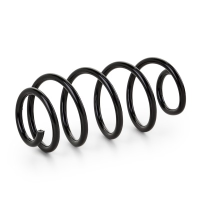 Suspension Spring RIDEX 188C0204 188C0204 - photo 6