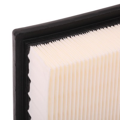 Air Filter RIDEX 8A0064 8A0064 - photo 6