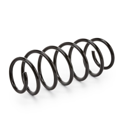 Suspension Spring RIDEX 188C0038 188C0038 - photo 5
