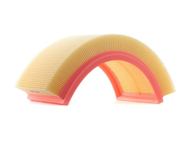 Air Filter RIDEX 8A0012 8A0012 - photo 1