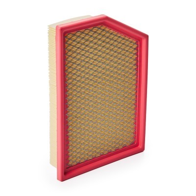 Air Filter RIDEX 8A1118 8A1118 - photo 3