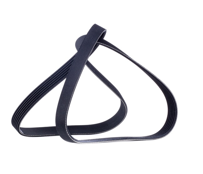 V-Ribbed Belt RIDEX 305P0135 305P0135 - photo 1