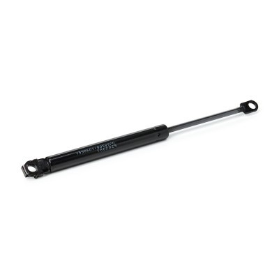 Bonnet  Gas Spring RIDEX 514G0021 514G0021 - photo 5