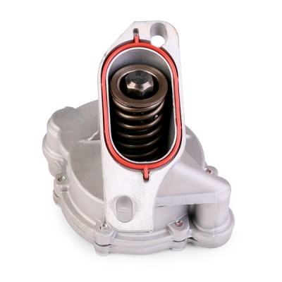 Vacuum Pump RIDEX 387V0026 387V0026 - photo 5