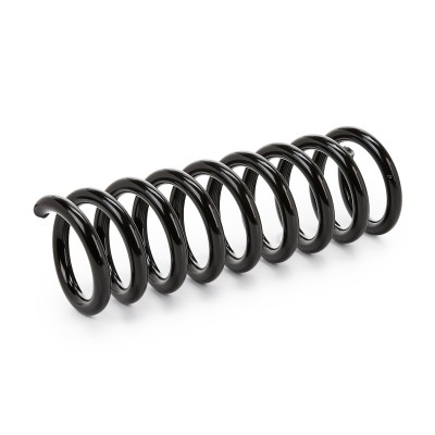 Suspension Spring RIDEX 188C0170 188C0170 - photo 5
