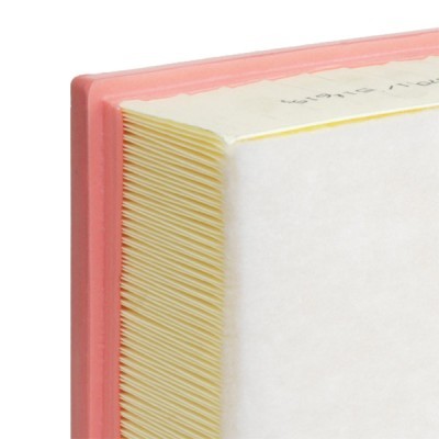 Air Filter RIDEX 8A1305 8A1305 - photo 5
