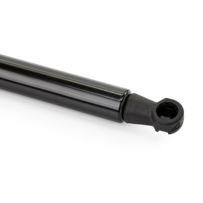 Bonnet  Gas Spring RIDEX 514G0030 514G0030 - photo 6
