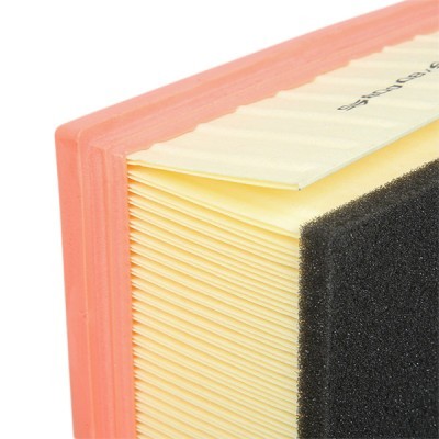 Air Filter RIDEX 8A1646 8A1646 - photo 5
