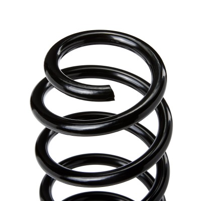 Suspension Spring RIDEX 188C0205 188C0205 - photo 8