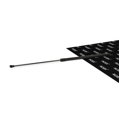 Bonnet  Gas Spring RIDEX 514G0046 514G0046 - photo 1
