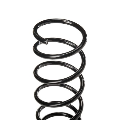 Suspension Spring RIDEX 188C0081 188C0081 - photo 4