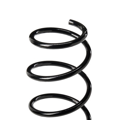 Suspension Spring RIDEX 188C0194 188C0194 - photo 4
