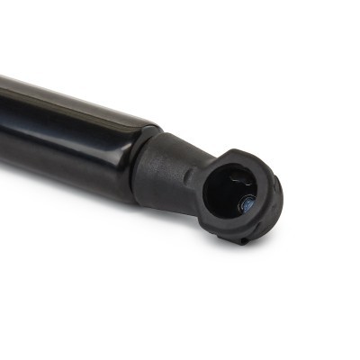 Bonnet  Gas Spring RIDEX 514G0115 514G0115 - photo 4