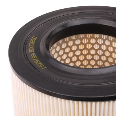 Air Filter RIDEX 8A0030 8A0030 - photo 7