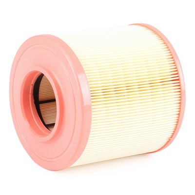Air Filter RIDEX 8A1664 8A1664 - photo 3
