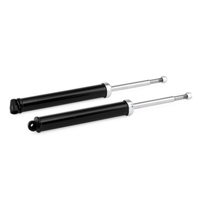 Shock Absorber RIDEX 854S2658 854S2658 - photo 5