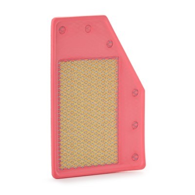 Air Filter RIDEX 8A1176 8A1176 - photo 2