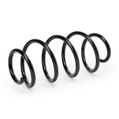 Suspension Spring RIDEX 188C0296 188C0296 - photo 7