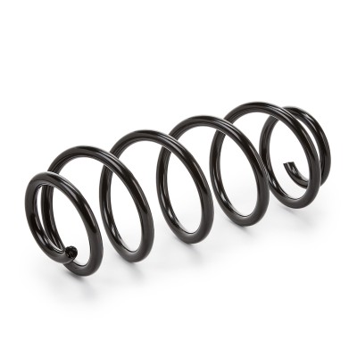 Suspension Spring RIDEX 188C0065 188C0065 - photo 5