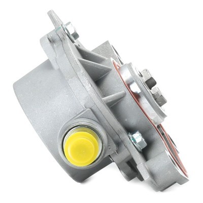 Vacuum Pump RIDEX 387V0016 387V0016 - photo 4