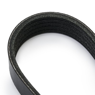V-Ribbed Belt RIDEX 305P0633 305P0633 - photo 4