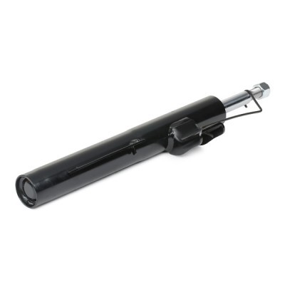 Shock Absorber RIDEX 854S1053 854S1053 - photo 5