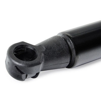 Bonnet  Gas Spring RIDEX 514G0189 514G0189 - photo 6