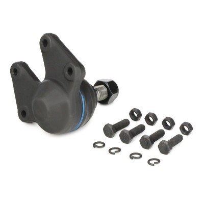 Ball Joint RIDEX 2462S0166 2462S0166 - photo 4