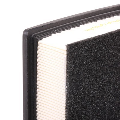 Air Filter RIDEX 8A0329 8A0329 - photo 6