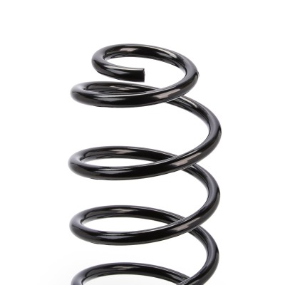 Suspension Spring RIDEX 188C0002 188C0002 - photo 8
