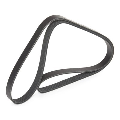 V-Ribbed Belt RIDEX 305P0079P 305P0079P - photo 3