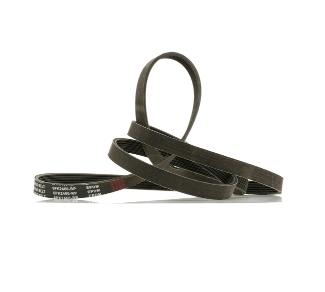 V-Ribbed Belt RIDEX 305P0105P 305P0105P - photo 1