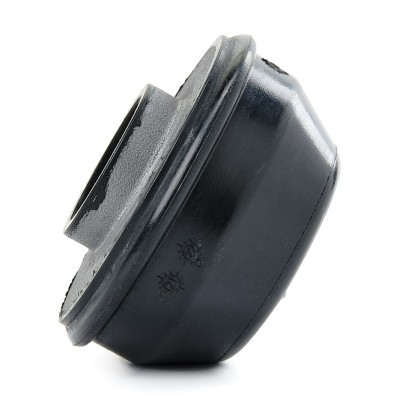 Control Arm Bushing RIDEX 251T0231 251T0231 - photo 5