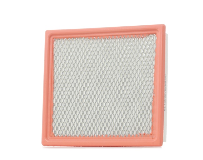 Air Filter RIDEX 8A0301 8A0301 - photo 1