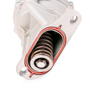 Vacuum Pump RIDEX 387V0014 387V0014 - photo 4