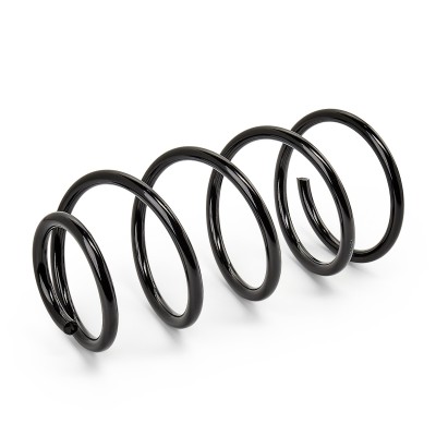 Suspension Spring RIDEX 188C0607 188C0607 - photo 7